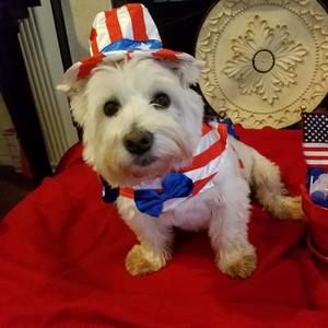 Meet your Posher, Paula